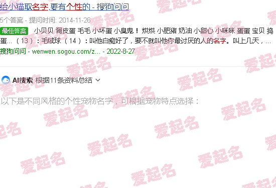 宠物名字个性洋气 - 个性宠物名字