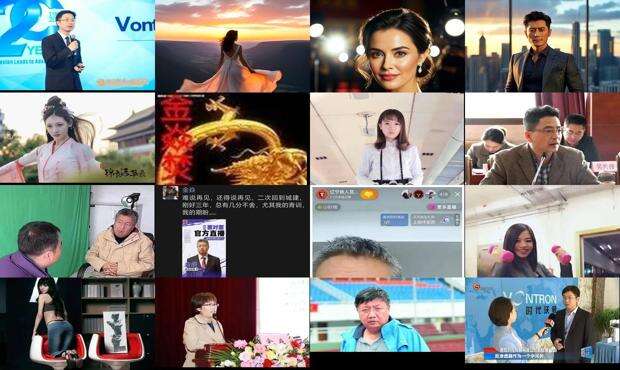 金焱简历 - 金焱