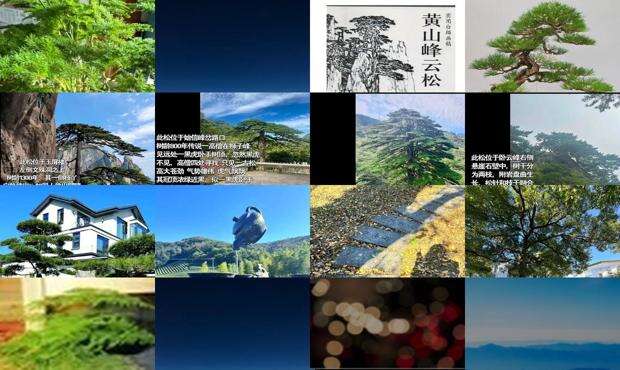 云松国际酒店 - 云松