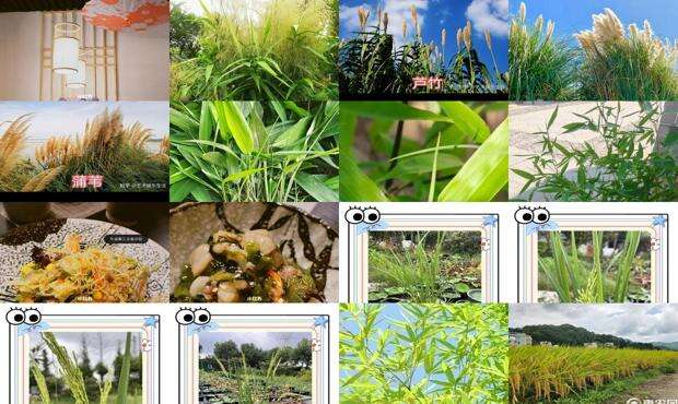 竹香板材的优缺点 - 竹禾