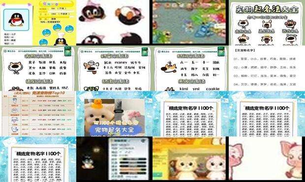 qq宠物排名 - qq宠物名