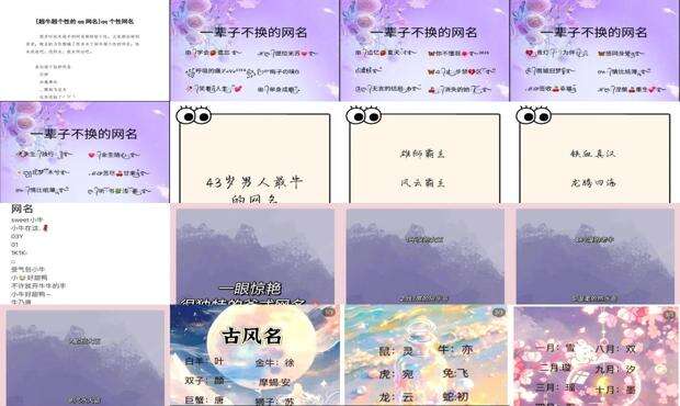 很牛的网名 - 比较牛的网名