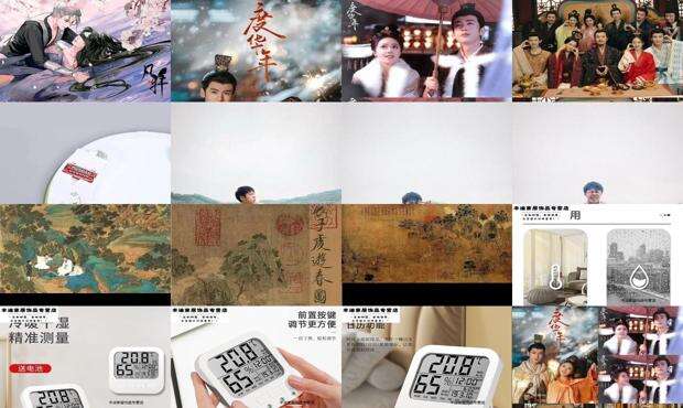 子度的意思是什么 - 子度