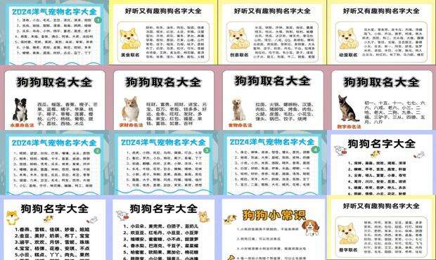 狗取名好听的 - 狗取名