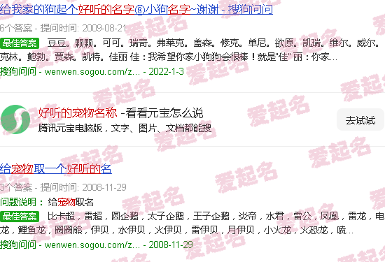 好听的宠物名字萌萌哒 - 好听的宠物名称