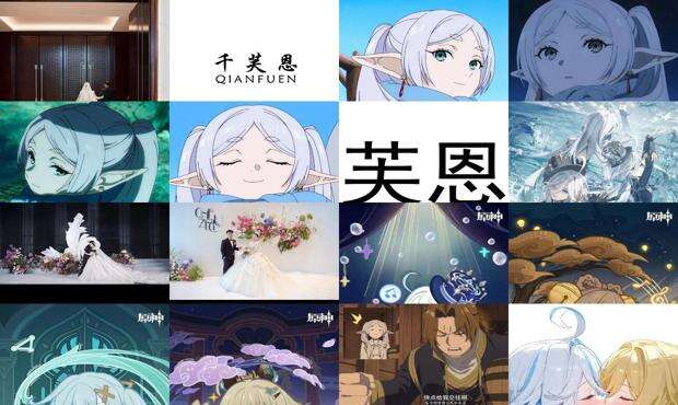 芙恩斯狗粮怎么样 - 芙恩