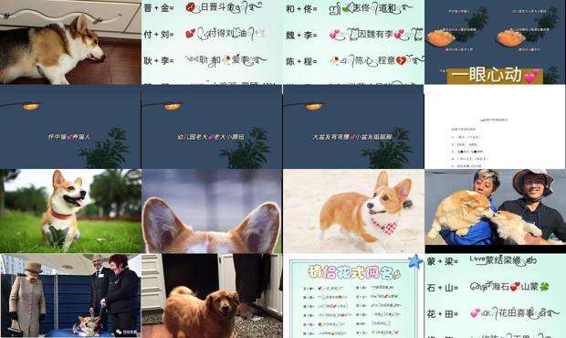 非主流情侣网名+超拽 - 非主流情侣网名