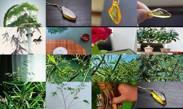 竹荪的功效与作用吃法 - 竹一