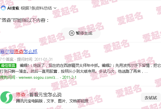 洛森锅炉有限公司 - 洛森