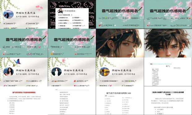 最拽的网名拽到爆流浪 - 最拽的网名