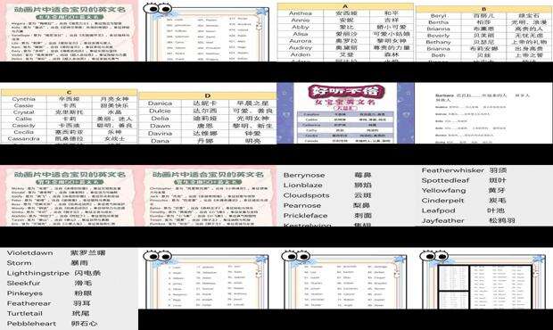 英文 角色 - 英文角色名