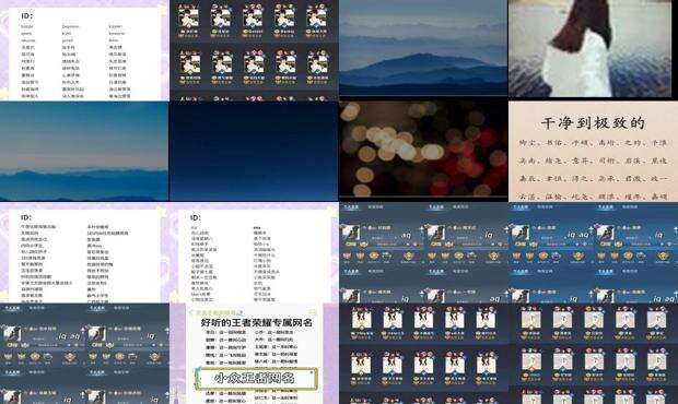 独一无二的王者昵称 - 独一无二的王者昵称
