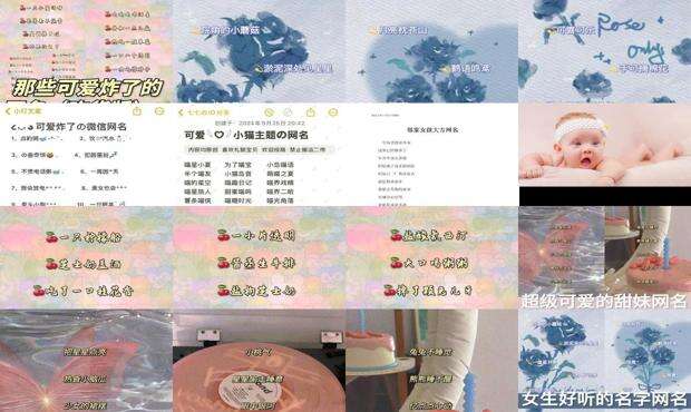 可爱的昵称女生 - 可爱的昵称女生网名