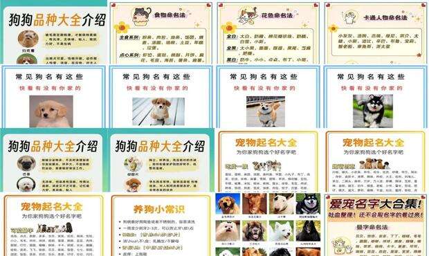 可爱的狗名字大全中文 - 可爱的狗名字