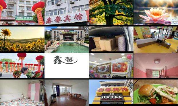 鑫馨新信息转账给我了800 - 鑫馨