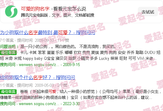 可爱的狗名字大全中文 - 可爱的狗名字