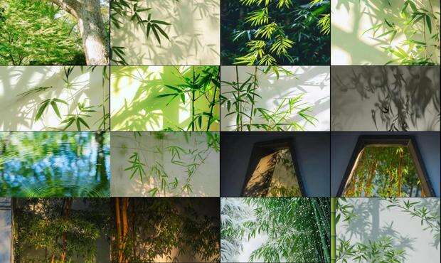 竹影随行写过的全部小说有哪些 - 竹影