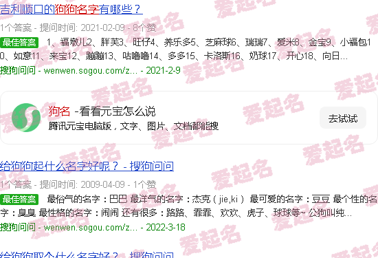 狗名字大全洋气的招财 - 狗名