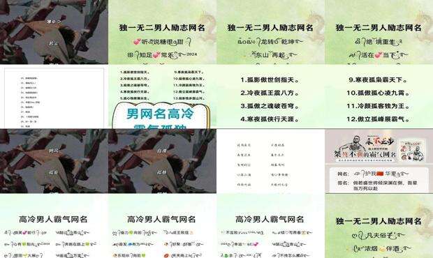 桀骜不驯的网名女 - 桀骜不驯的网名