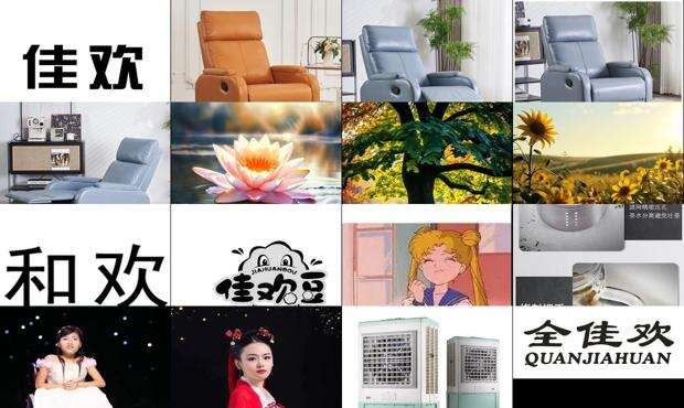 佳欢是什么意思 - 佳欢