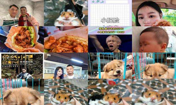 小肥啾宠爱手册 - 小肥