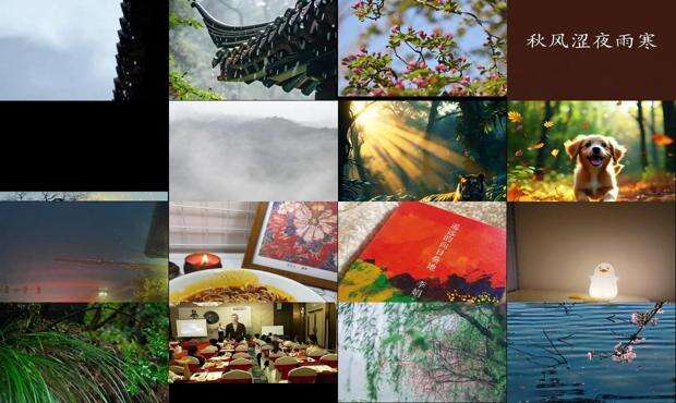 鹃啼五夜凄风冷,鹤唳三更苦雨寒 - 雨寒