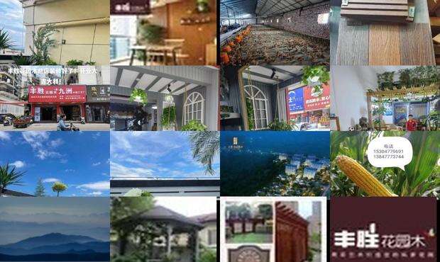 丰盛的晚餐 - 丰胜