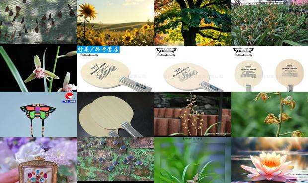 蝶王神酒多少钱一瓶 - 蝶王