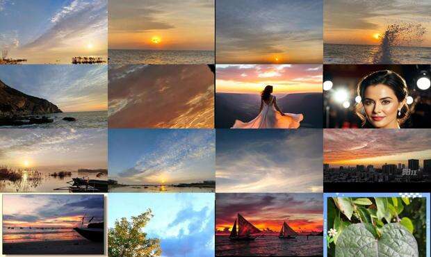 晨夕风露,阶柳庭花 - 晨夕