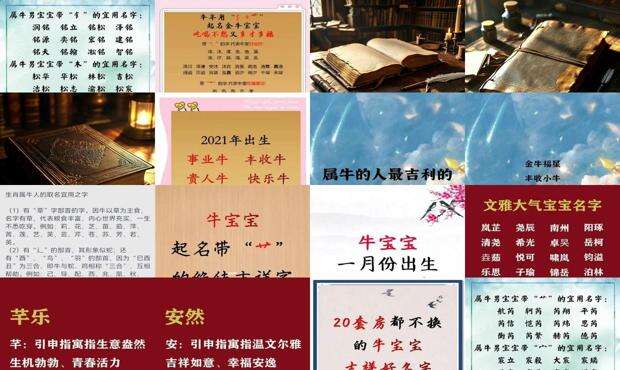 2021属牛男孩是什么命 - 2021属牛男孩最吉利的名字