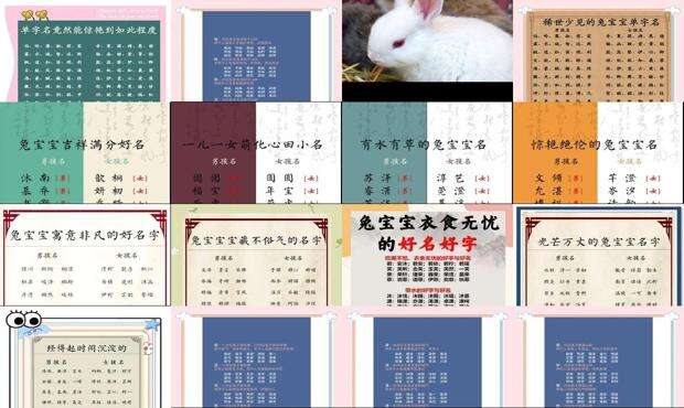 兔宝宝叫什名字好 - 兔宝宝取什么名字最好