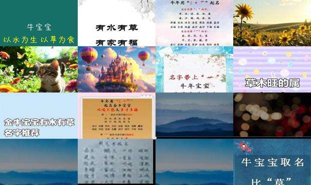 今年属牛男宝宝属水名字 - 为属牛男孩有水有草的名字