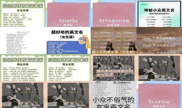 冷门好听的女生网名两个字 - 冷门好听的女生英文名