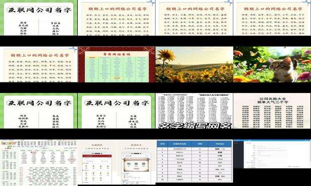 哪个网站起名字好一点 - 哪个网站起名字比较专业