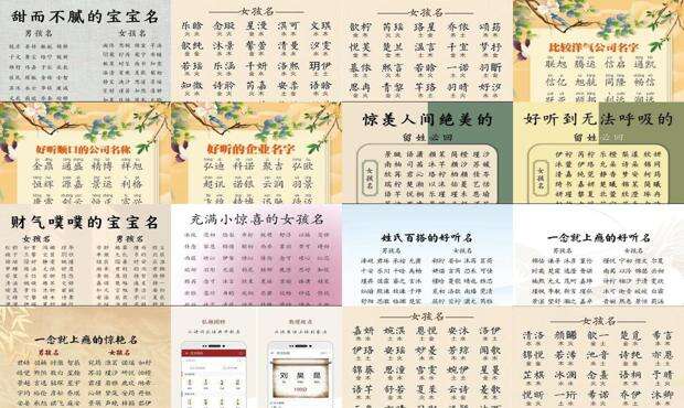 取名字大全免费查询 - 取名网免费
