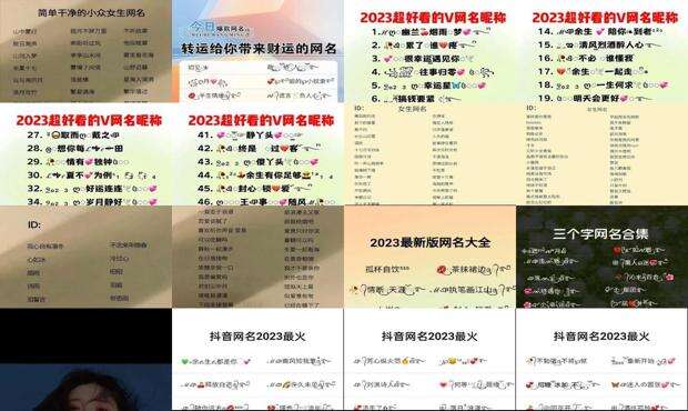 22年取名字 - 2023起名最火的网名
