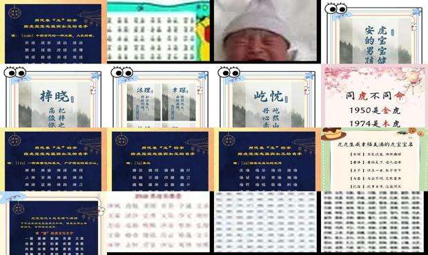 虎年给刚出生的小宝宝取名字取什么样子的 - 虎年新生儿取名