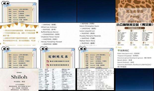谐音英文名生成器免费网站 - 谐音英文名生成器