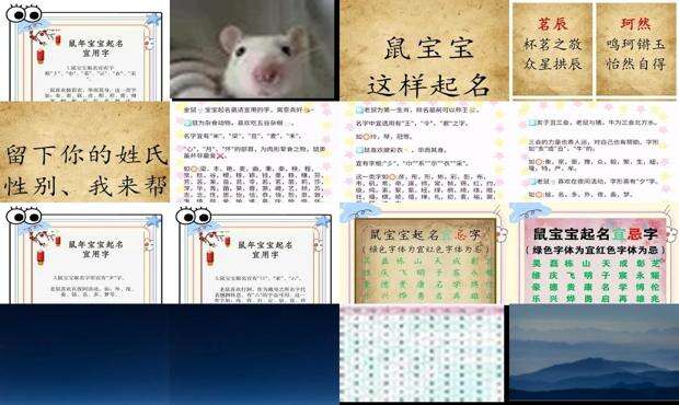 鼠宝宝取名大全2008款 - 鼠宝宝取名大全2020款