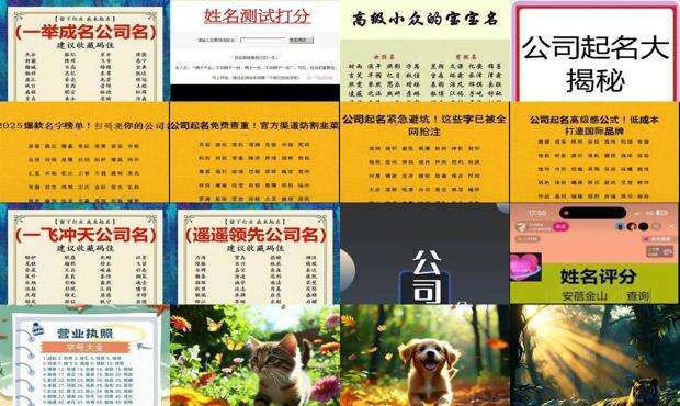 名霸测名网 - 名霸免费公司测名