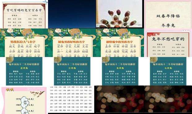 兔年男宝宝名字大全2023侯姓 - 兔年男宝宝名字大全2023有寓意