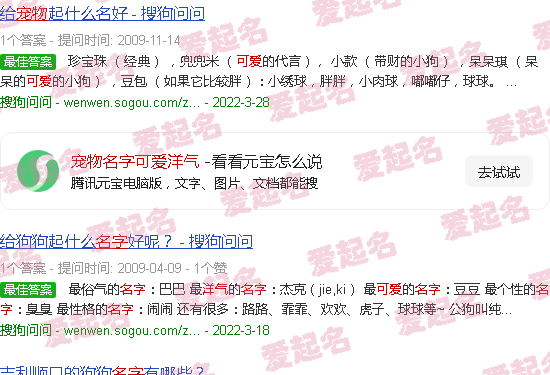 宠物名字可爱洋气女生 - 宠物名字可爱洋气