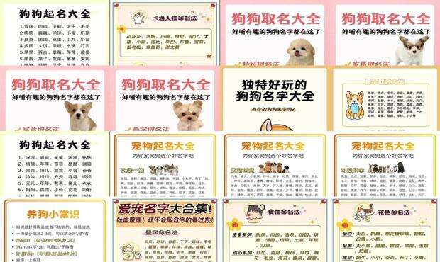 独一无二的狗狗名字水果名 - 独一无二的狗狗名字