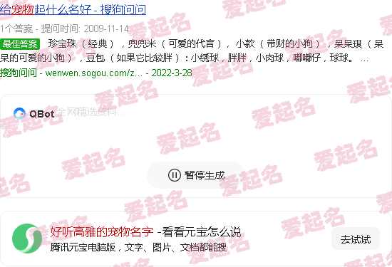 好听高雅的宠物狗狗名字 - 好听高雅的宠物名字