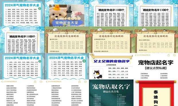 好听高雅的宠物狗狗名字 - 好听高雅的宠物名字