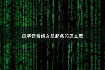 国字适合给女孩起名吗怎么取 - 国字辈女孩有含义名字