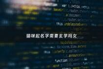 猫咪起名字需要玄学吗女 - 猫咪取名旺财