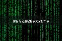 如何给汤圆起名字大全四个字 - 取名汤圆这个名字怎么样