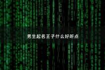 男生起名王子什么好听点 - 男孩起名王子什么好呢