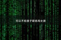 可以不给孩子取名吗女孩 - 不给孩子起小名